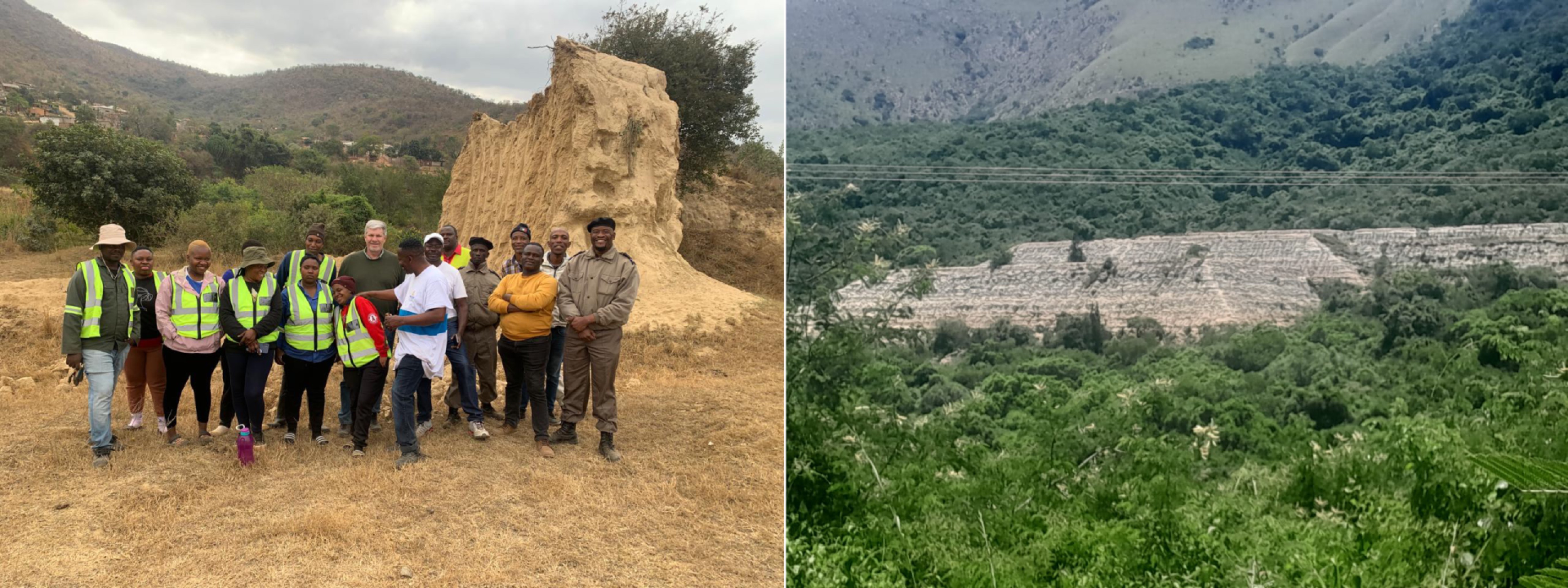 Environmental rehabilitation project